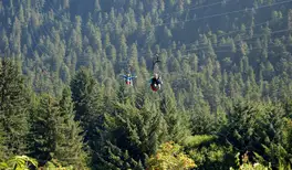 Image related to Icy Strait Point Ziprider