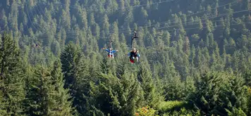 Image related to Icy Strait Point Ziprider