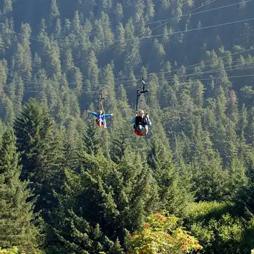 Image related to Icy Strait Point Ziprider