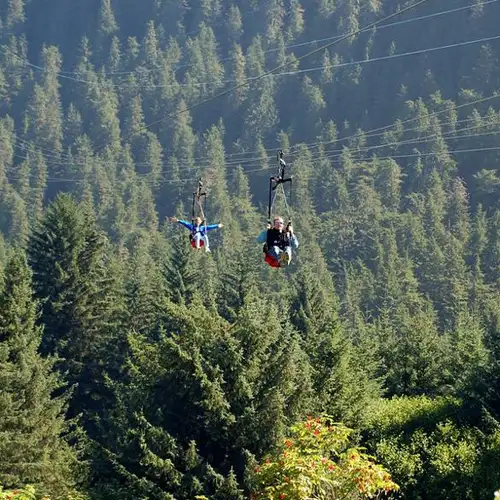 Image related to Icy Strait Point Ziprider
