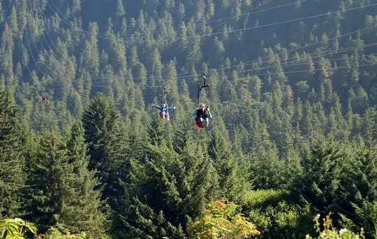 Image related to Icy Strait Point Ziprider