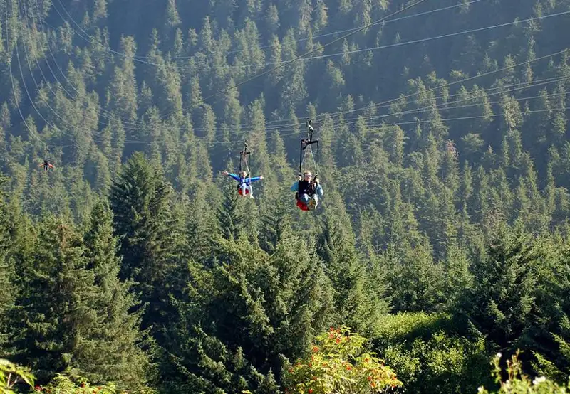 Icy Strait Point Ziprider