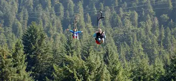 Image related to Icy Strait Point Ziprider