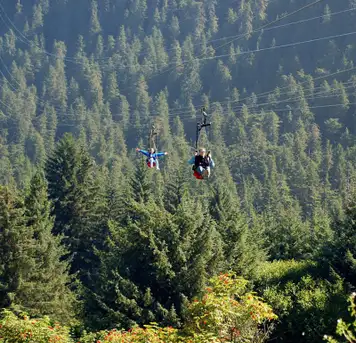 Image related to Icy Strait Point Ziprider