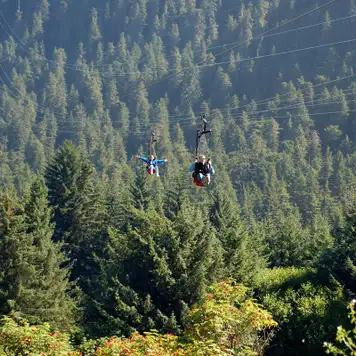 Image related to Icy Strait Point Ziprider