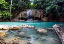 IgluCruise.Application.ViewModels.Shared.WebImageViewModel?.Description