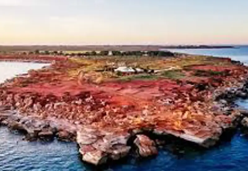 Paspaley Pearl Farm Tour