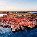 Image related to Paspaley Pearl Farm Tour