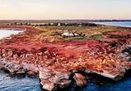 IgluCruise.Application.ViewModels.Shared.WebImageViewModel?.Description