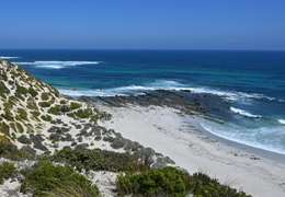 IgluCruise.Application.ViewModels.Shared.WebImageViewModel?.Description