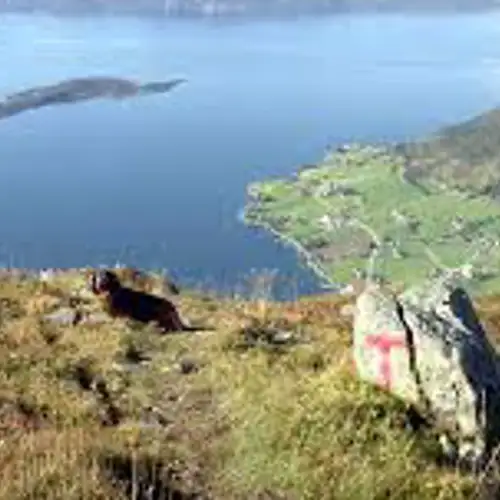 Image related to Malmangernuten