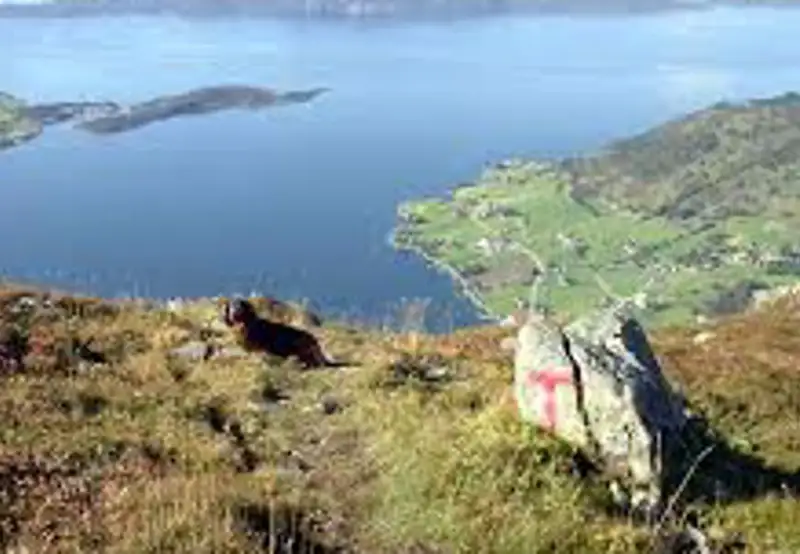 Malmangernuten