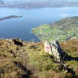 Image related to Malmangernuten