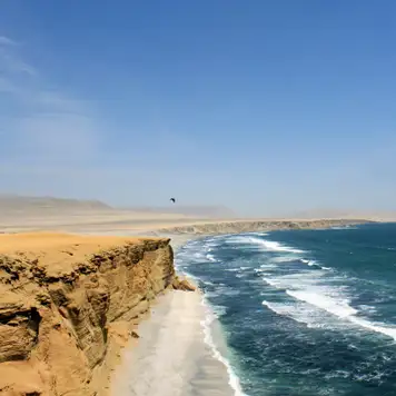 Image related to Paracas