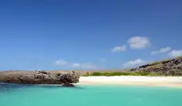 Image related to Darwin Bay, Genovesa