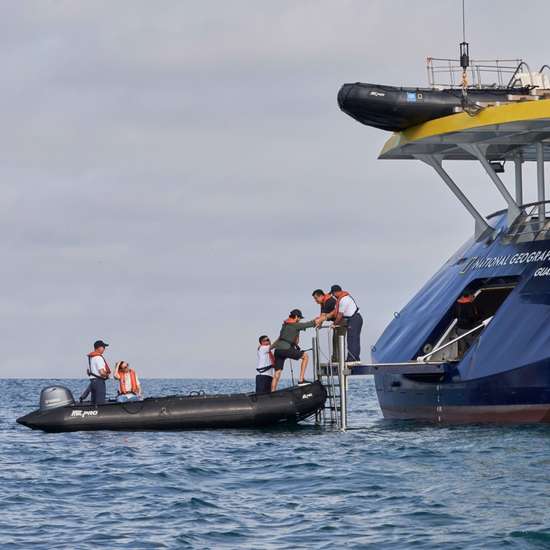 Swim Platform / Zodiac Boarding