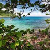 Image related to  Terre-de-Bas