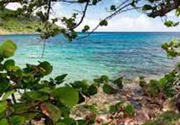 IgluCruise.Application.ViewModels.Shared.WebImageViewModel?.Description