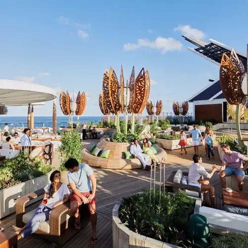 Rooftop Garden