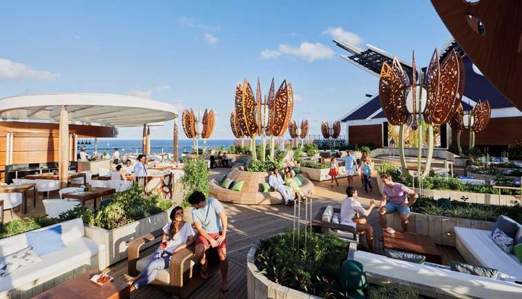 Rooftop Garden