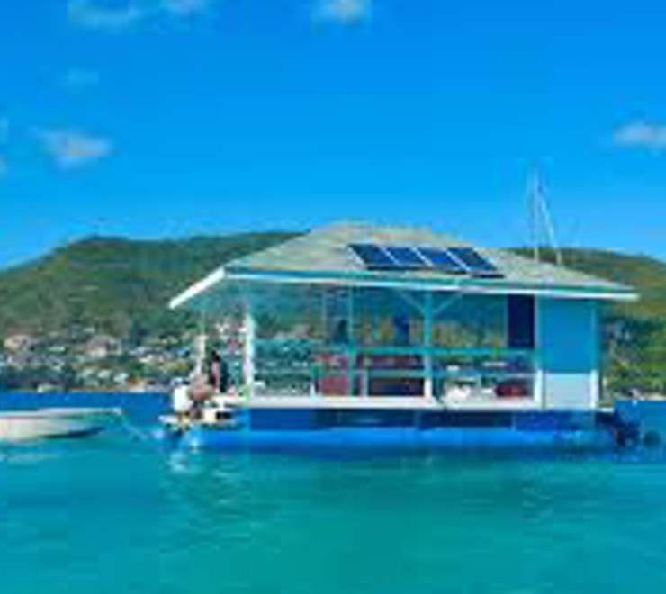 Drink at the Floating Bar