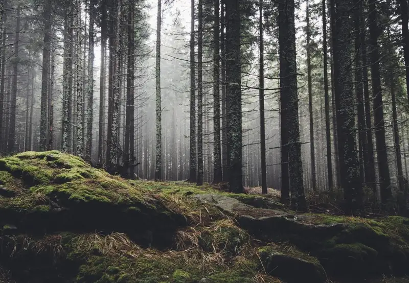 Wilderness Activities 