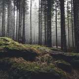 Image related to Wilderness Activities 