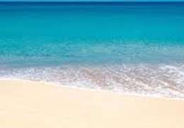 IgluCruise.Application.ViewModels.Shared.WebImageViewModel?.Description