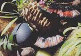 IgluCruise.Application.ViewModels.Shared.WebImageViewModel?.Description