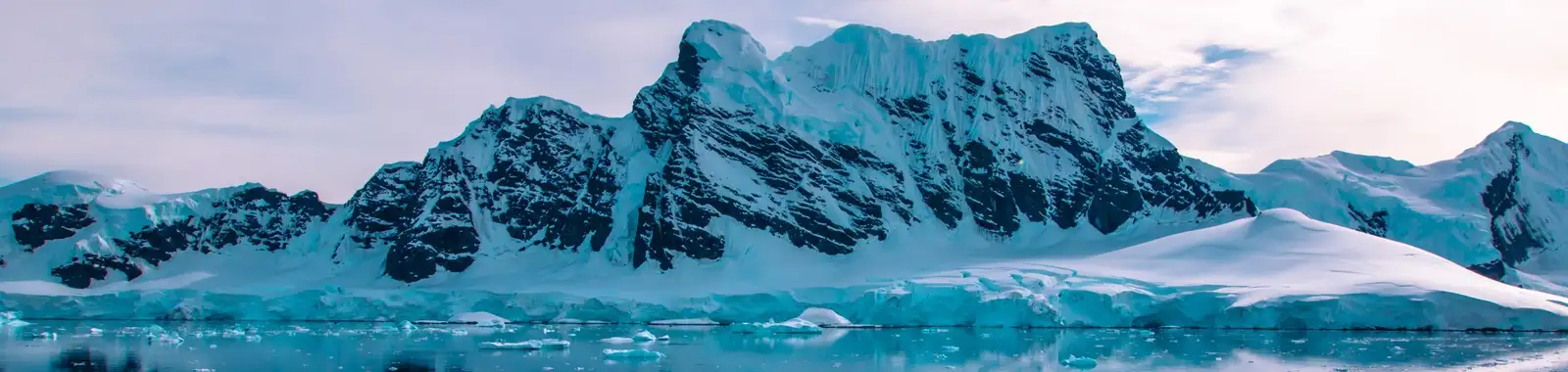 Antarctic Cruises