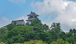 Image related to Kochi Castle