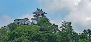Image related to Kochi Castle