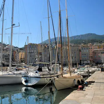 Image related to Marina & Boat Tours