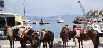 Image related to Hydra