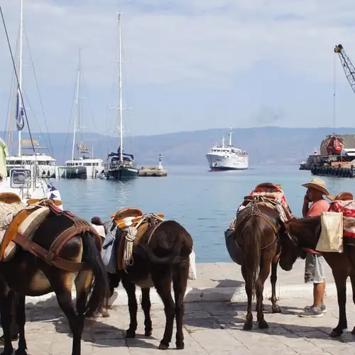 Image related to Hydra