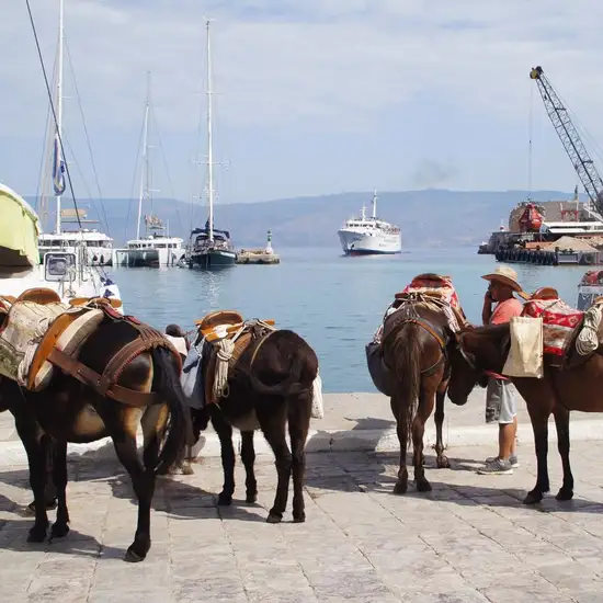 Image related to Hydra