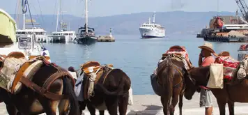 Image related to Hydra