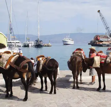 Image related to Hydra