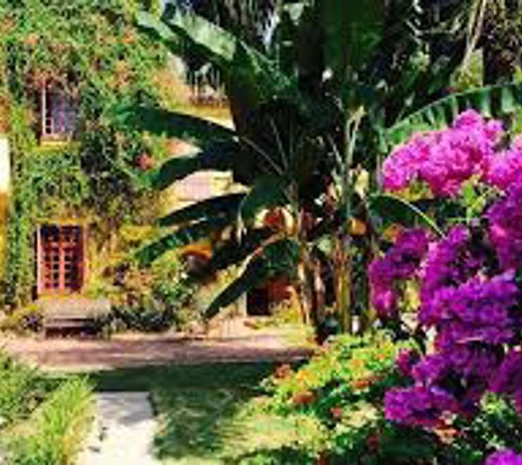 Jardin botanique Val Rahmeh-Menton