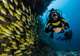 Huatulco National Park