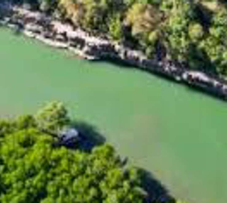 Mangrove & Creek Cruises