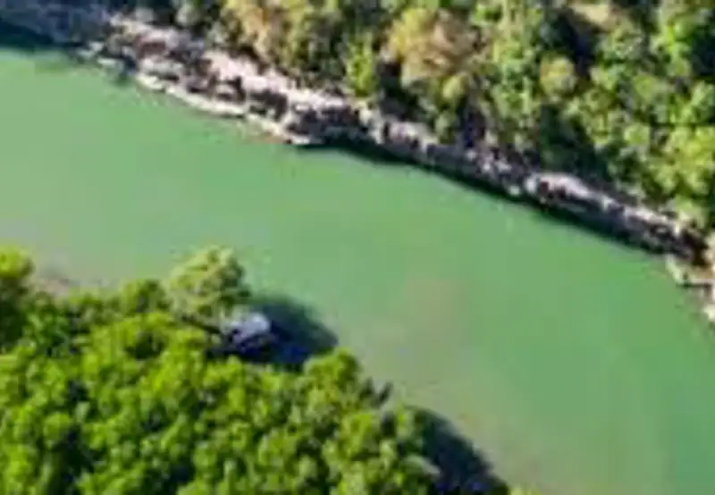 Mangrove & Creek Cruises