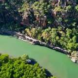 Image related to Mangrove & Creek Cruises