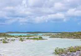 IgluCruise.Application.ViewModels.Shared.WebImageViewModel?.Description