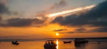 Image related to Paranagua