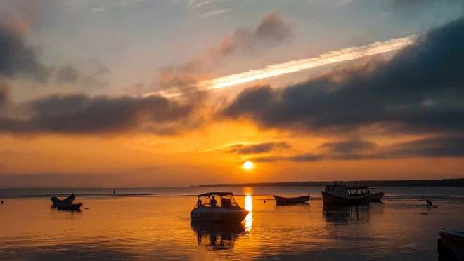 Explore a historic Brazilian port town, gateway to a lush Atlantic rainforest railway.
