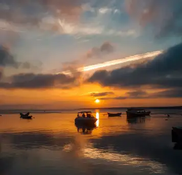 Image related to Paranagua