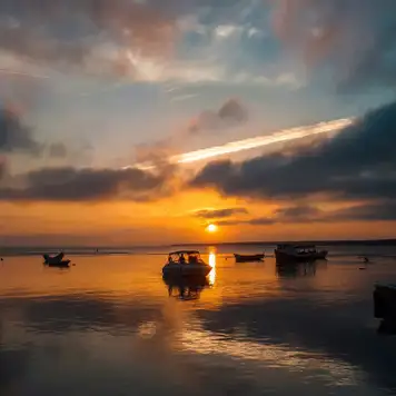 Image related to Paranagua