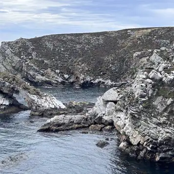 Image related to Kidney Cove