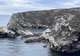 Kidney Cove